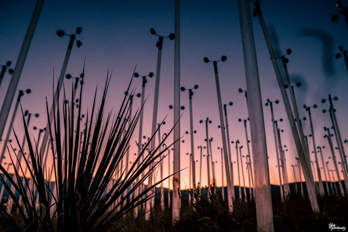 the windmill project