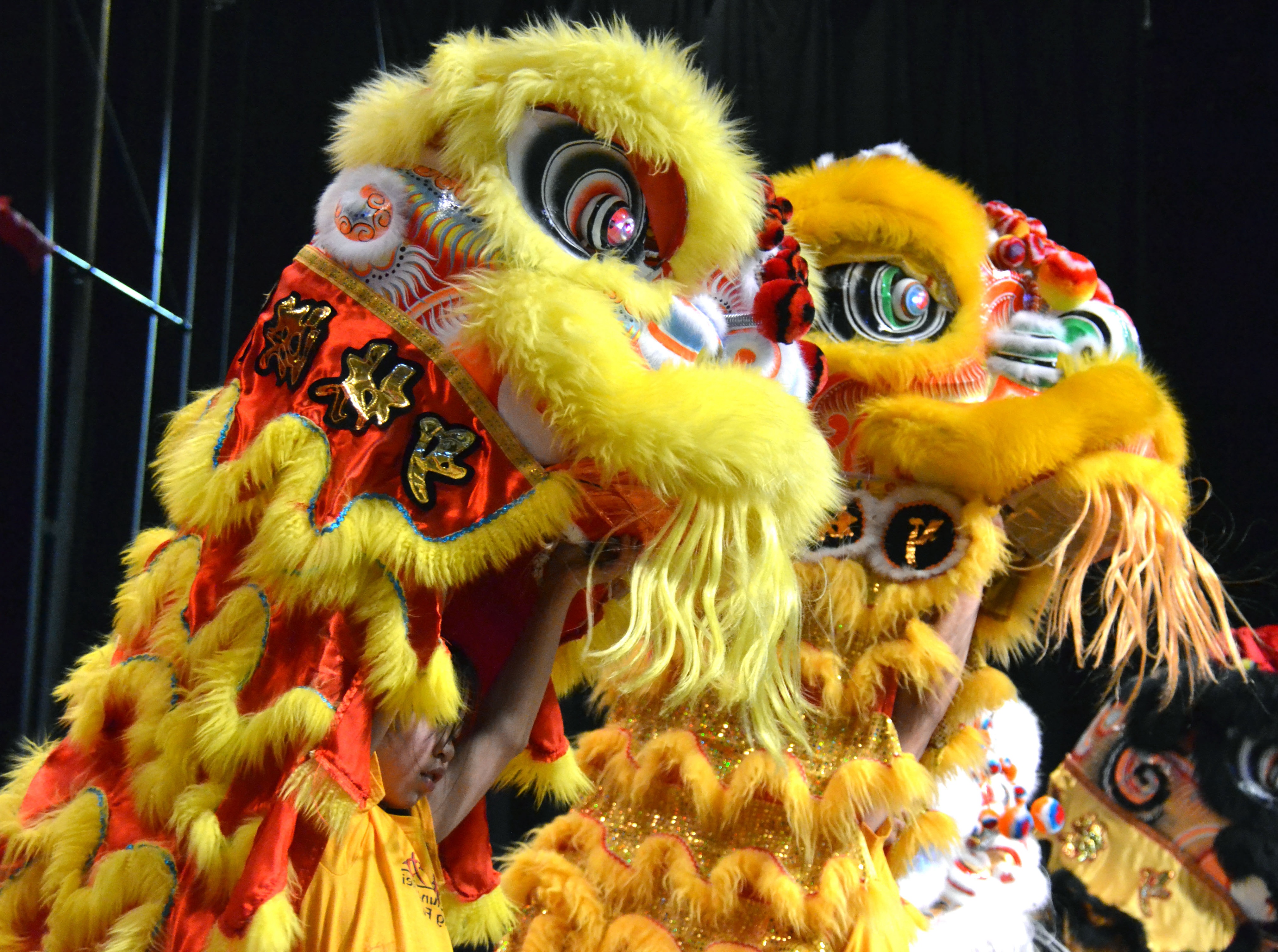 CSCCI 2026 Lunar New Year