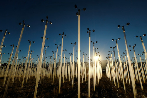 Outdoor Sculpture entitled The Windmill Project